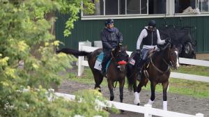 Photo Diary: A Morning with Belmont Stakes Runner Hot Rod Charlie
