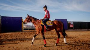 Forever Young, Ryusei Sakai, Yoshito Yahagi, Breeders' Cup Classic, Del Mar, America's Best Racing, horse racing, ABR 