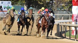 Champagne Stakes, Belmont at the Big A, It's Our Time, America's Best Racing, horse racing, ABR