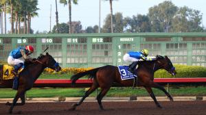 2025 Los Alamitos Futurity, Bob Baffert, Litmus Test, Road to the 2026 Kentucky Derby