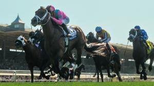 Formidable Man, Santa Anita Park, 2026 Shoemaker Mile, Gamely Stakes, Hollywood Gold Cup