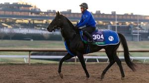 Deep Monster, Breeders' Cup Turf, Keeneland, Breeders' Cup, horse racing, America's Best Racing, ABR