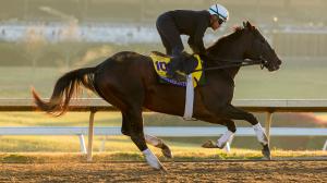 Forever Young, Sovereignty, Magnitude, Breeders' Cup Classic, Keeneland, horse racing, America's Best Racing, ABR