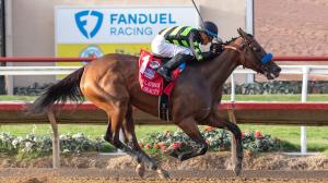 Seismic Beauty, Bob Baffert, Longines Breeders' Cup Distaff, Del Mar, America's Best Racing, horse racing, ABR Seismic Beauty, Bob Baffert, Longines Breeders' Cup Distaff, Del Mar, America's Best Racing, horse racing, ABR