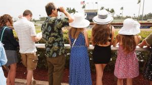ABR Sunday Selections: Full-Card Picks for Feb. 15 at Gulfstream Park