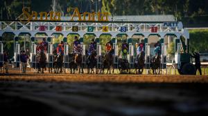 2026 American Pharoah Stakes at a Glance