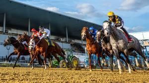 Noel’s Weekend Winners: Value Plays Saturday at the Big A