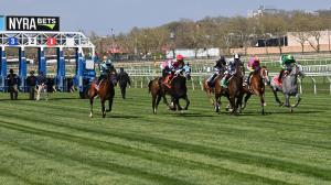 Noel’s Weekend Winners: Mid-November Marquee Stakes at Aqueduct