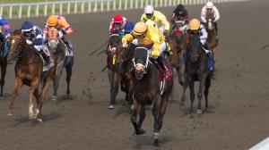 Mansetti, King's Plate, Woodbine, Canadian Triple Crown