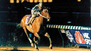 How Surgery Transformed Alysheba from Unremarkable into ‘America’s Horse’