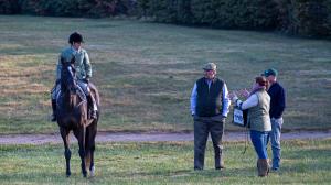 Five Things You Need to Know Before Adopting an OTTB