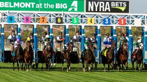Pilgrim Stakes, Aqueduct, Belmont at the Big A, Heeere’s Johnny, Miguel Clement, Bottas, Noble Dynasty, Let’s Be Frank, betting, exacta, handicapping, horse racing, ABR