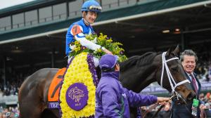 Tepin: The Rare Mare That Leveled the Turf Racing Field