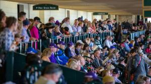 Noel’s Weekend Winners: Best Bets for Dirt Mile and Turf on Breeders’ Cup Saturday