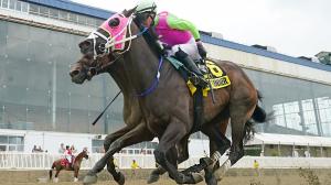 Barbadian Runner, Laurel Park, Maryland Million Classic, horse racing, America's Best Racing, ABR