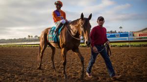 Beholder: An Enduring Champion Whose Greatness Stands Test of Time