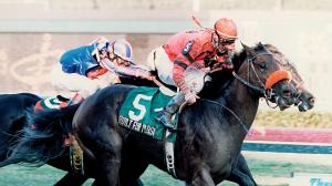 Built for Pleasure, 1996 Fountain of Youth Stakes, Gulfstream Park, Unbridled's Song, Victory Speech, Kentucky Derby, Triple Crown, America's Best Racing, horse racing, ABR
