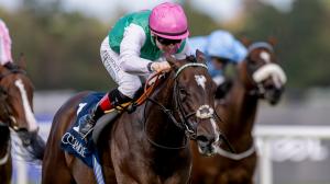Blue Bolt, International, Keeneland, Breeders' Cup, horse racing, America's Best Racing, ABR