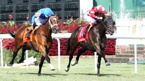 Why Burnham Square Can Earn a Grade 1 Win on Turf in Arlington Million