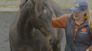 CARMA, Aftercare, Thoroughbred Aftercare Alliance, America's Best Racing, horse racing, ABR