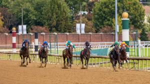 Betting on a Bounce-Back Effort in Chilukki Stakes