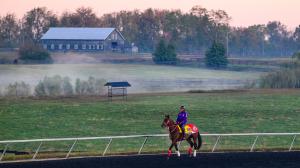 Forever Young, Breeders' Cup Classic, Keeneland, horse racing, America's Best Racing, ABR
