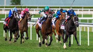 Pegasus Filly and Mare Turf, Gulfstream Park, Proctor Street