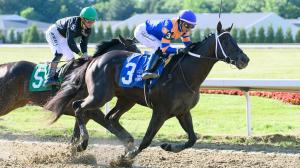 Banking On Speed to Produce an Upset in the Jim Dandy Stakes