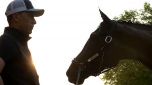 Terry L. Stephens | America's Best Racing