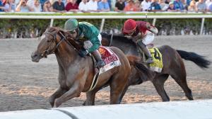 Fountain of Youth Stakes, Gulfstream Park, ABR, America's Best Racing, Triple Crown, horse racing