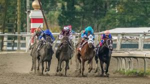 2026 Cotillion Stakes at a Glance
