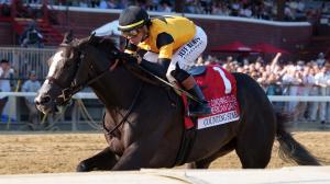 Counting Stars Takes Command Among 3-Year-Old Fillies on Equibase Leaderboard