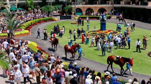TV, television, horse racing, streaming, radio, CCA Oaks, Bing Crosby, Del Mar, Saratoga, Gulfstream, Ellis, Woodbine, Colonial, NYRA, FOX Sports, FS1, FS2, FOX, FanDuel TV, RTN, HRRN, King George, Queen Elizabeth, Ascot, Byk, Breeders’ Cup, ABR