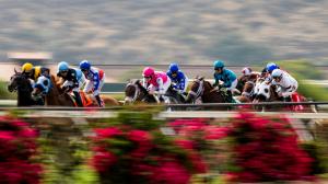 Del Mar Mile, Del Mar, Cabo Spirit, Glance, Seal Team, Artislas, Freedom’s Not Free, Detain, Sinsel, Almendares, Astronomer, King of Gosford, Flyover, Twirling Point, El Potente, jockey, trainer, Mandella, D’Amato, horse racing, ABR