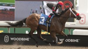 Runaway Again, King's Plate, Woodbine, America's Best Racing, horse racing, ABR