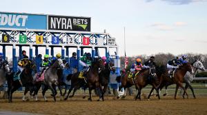 Remsen Stakes, Cigar Mile Handicap, Aqueduct, America's Best Racing, horse racing, ABR
