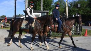 Cherie DeVaux, Golden Tempo, Belmont Stakes, Triple Crown, Saratoga Race Course, horse racing, America's Best Racing, ABR