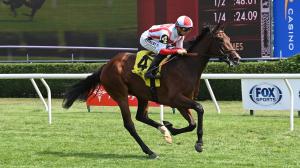 Deep Learning, Woodbine, Natalma Stakes, America's Best Racing, horse racing, ABR