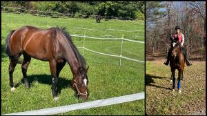Susan Samascott, African Badge, Cairo, Thoroughbred Aftercare Alliance