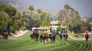 Santa Anita Park, downhill turf, horse racing, America's Best Racing, ABR
