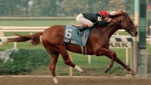 A Classy Champion: 1989 Belmont Stakes Winner Easy Goer