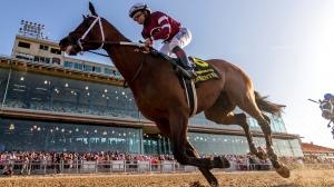 Half a Dozen Trends to Consider When Betting the 2026 Louisiana Derby
