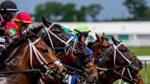 Noel’s Weekend Winners: Betting on Speed Louisiana Derby Day at Fair Grounds 