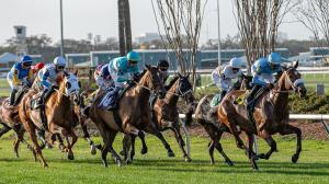 Noel’s Weekend Winners: Wide-Open Saturday Stakes at Fair Grounds