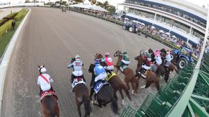 Fountain of Youth Stakes, Cheat Sheet, Kentucky Derby, Gulfstream Park, Jackson Hole, Rockies Balboa, Talkin, Commandment, Bravaro, Chief Wallabee, Napoleon Solo, Bull by the Horns, Global Aviator, Solitude Dude, Lost Money, jockey, owner, trainer, horse 