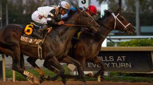 Fountain of Youth Stakes, Rebel Stakes, Gotham Stakes, Commandment, Chief Wallabee, Brad Cox, Bill Mott, Class President, John Velazquez, Todd Pletcher, Iron Honor, Chad Brown, Kentucky Derby, prep, jockey, trainer, horse racing, ABR
