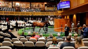 Fasig-Tipton Saratoga Sale, Barnes, America's Best Racing, ABR, horse racing, Triple Crown, Breeders' Cup