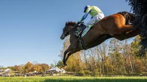 Snap Decision, American Grand National Steeplechase, Far Hills Race Meeting, Skip Dickstein, America's Best Racing, horse racing, ABR