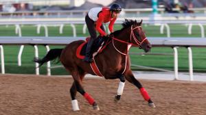 Forever Young, Jockey Club Gold Cup, Belmont Park, horse racing, America's Best Racing, ABR
