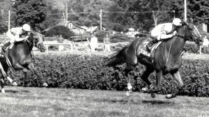 Fourstardave’s Memory Lives on at Saratoga